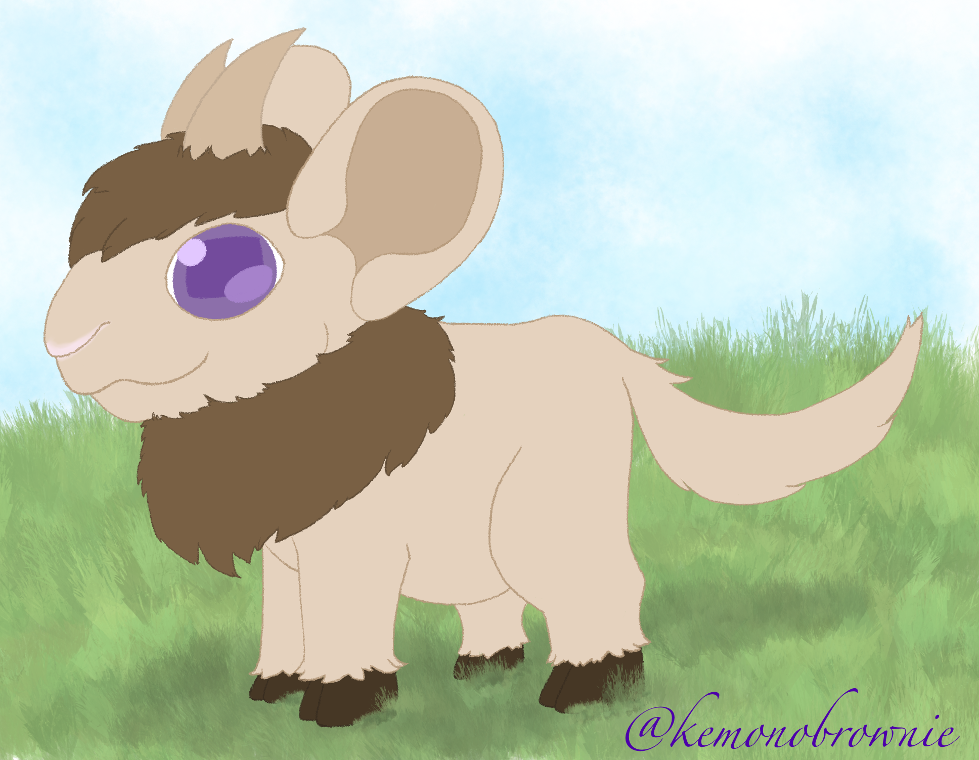 A mix of goat and Chinchilla